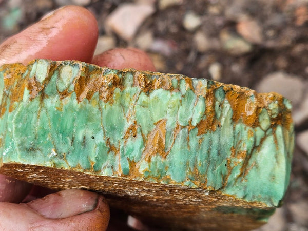 Variscite rough. VR600