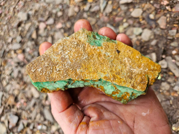 Variscite rough. VR600
