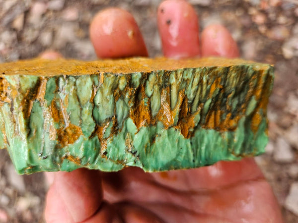 Variscite rough. VR600