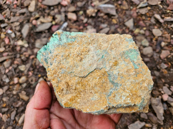Variscite rough. VR596