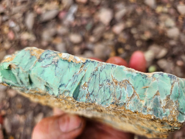 Variscite rough. VR596