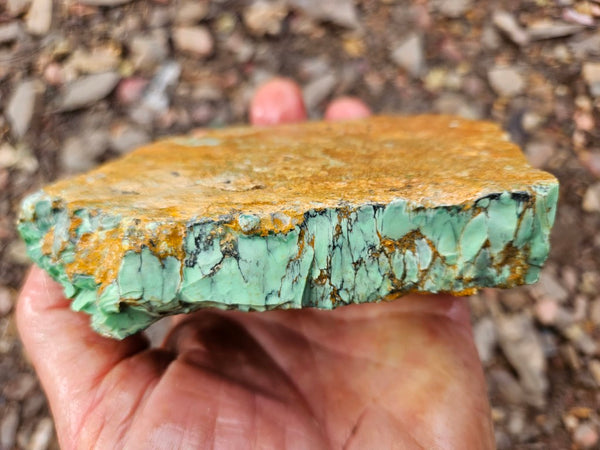 Variscite rough. VR596