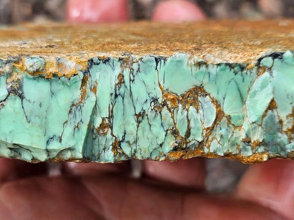 Variscite rough. VR596
