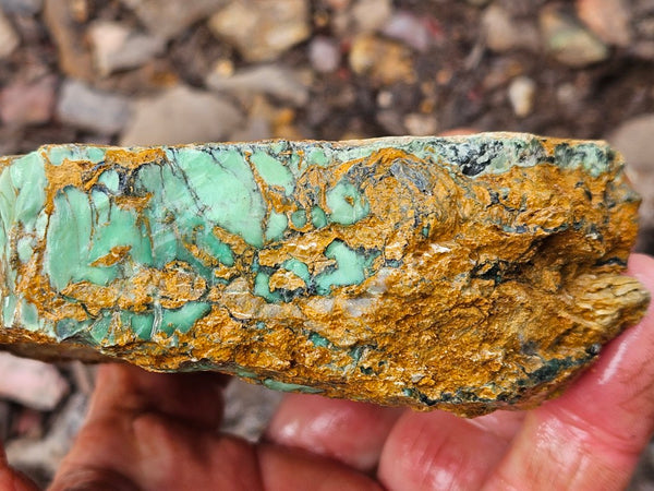 Variscite rough. VR596