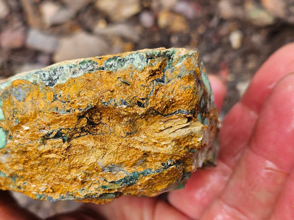 Variscite rough. VR596
