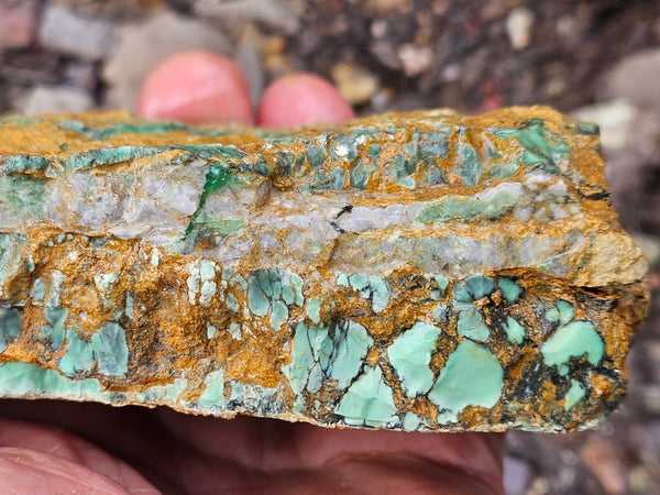 Variscite rough. VR596
