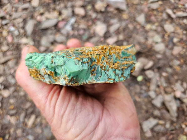 Variscite rough. VR596