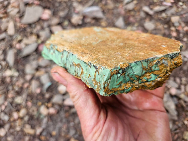 Variscite rough. VR596