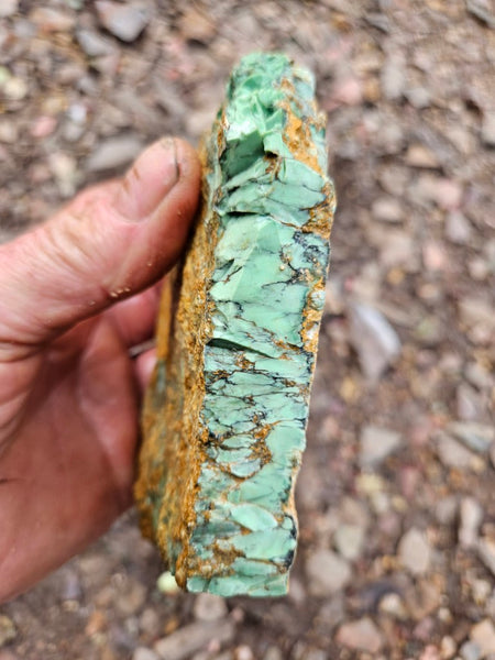 Variscite rough. VR596