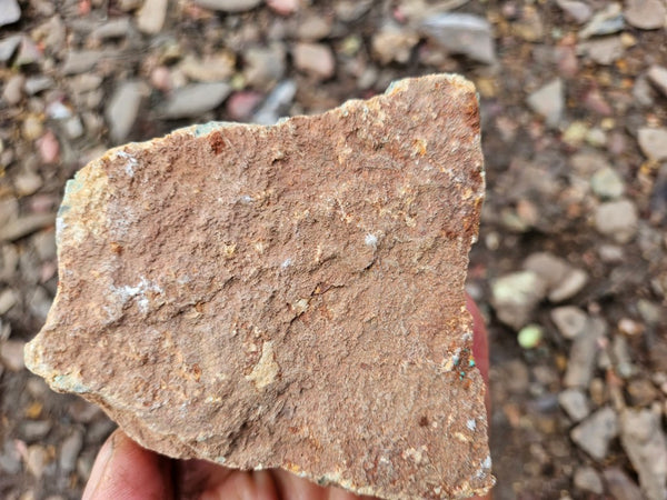 Variscite rough. VR597