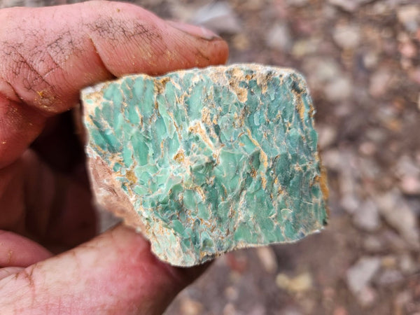 Variscite rough. VR597