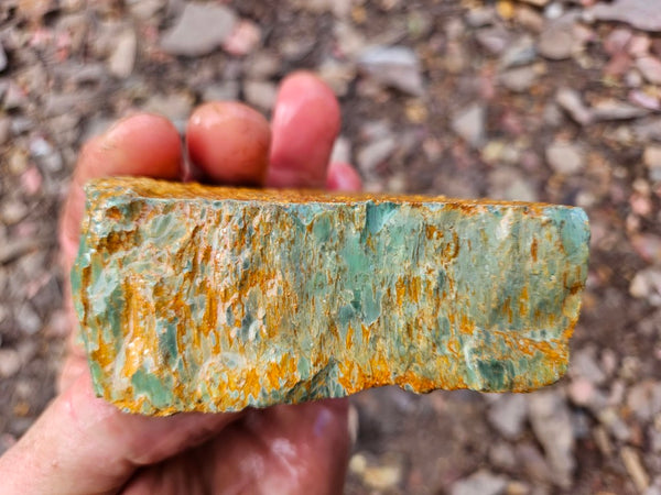 Variscite rough. VR597
