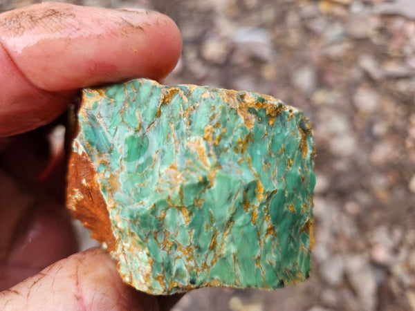 Variscite rough. VR597