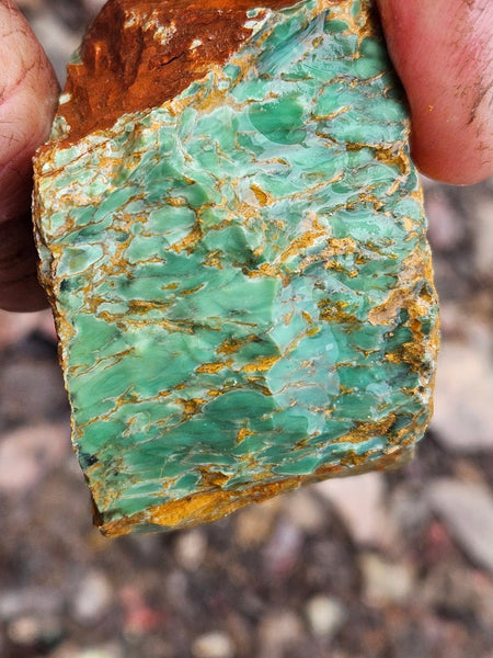 Variscite rough. VR597