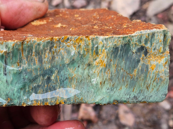 Variscite rough. VR597