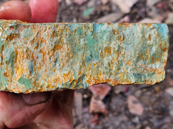 Variscite rough. VR597