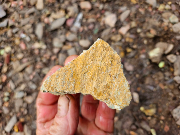 Variscite rough. VR599