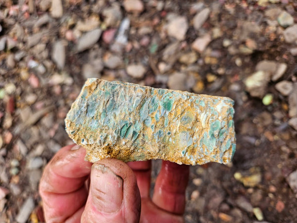 Variscite rough. VR599
