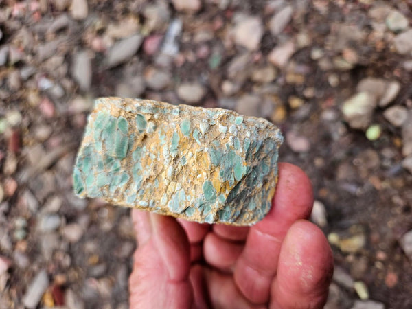 Variscite rough. VR599