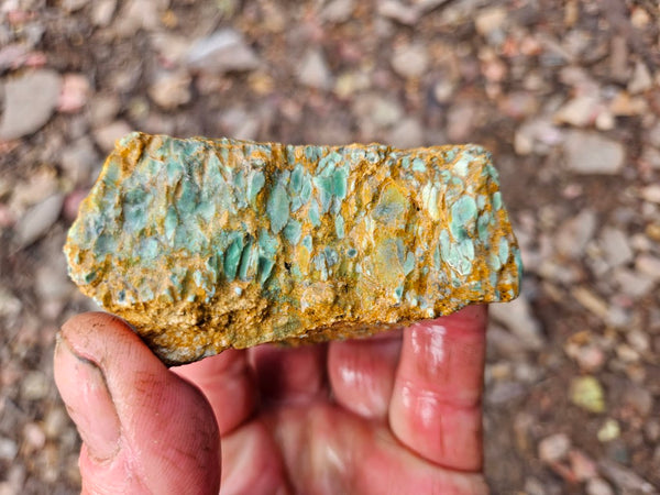 Variscite rough. VR599