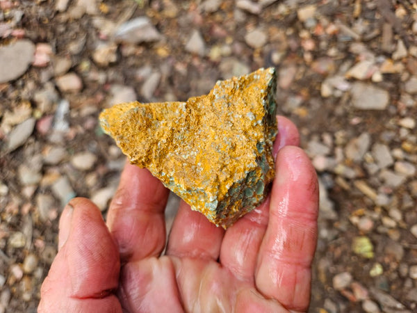 Variscite rough. VR599