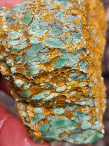Variscite rough. VR599