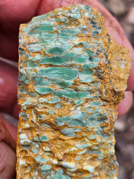Variscite rough. VR599