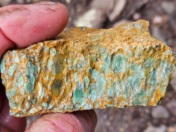 Variscite rough. VR599
