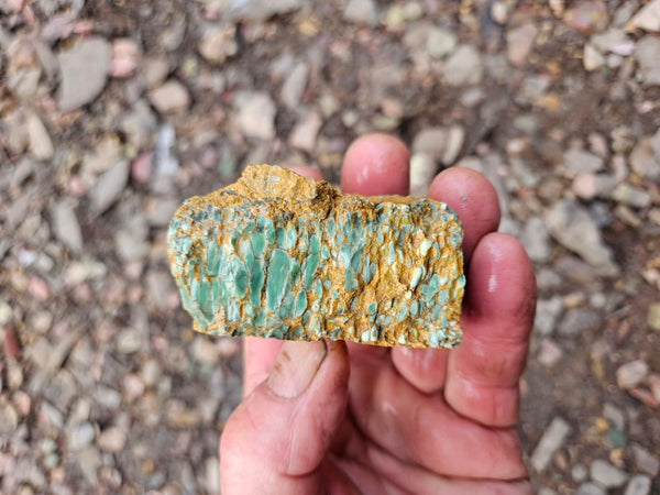 Variscite rough. VR599