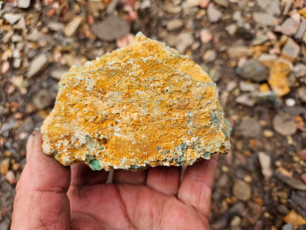 Variscite rough. VR598
