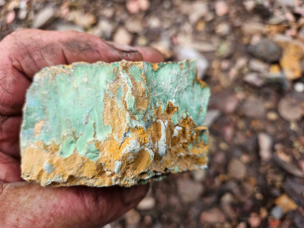 Variscite rough. VR598