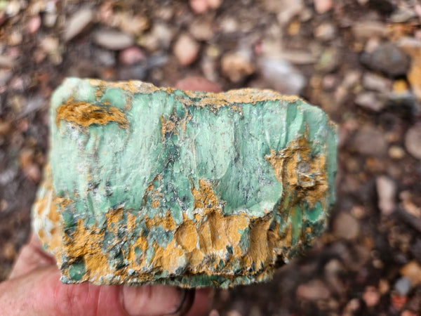 Variscite rough. VR598