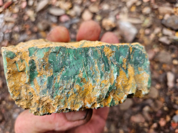 Variscite rough. VR598