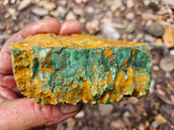 Variscite rough. VR598