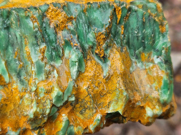 Variscite rough. VR598