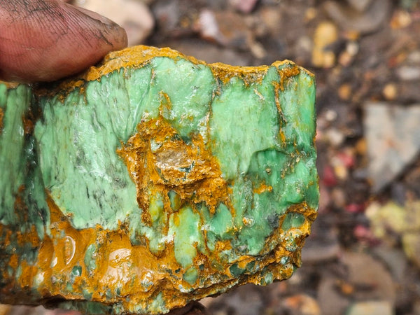 Variscite rough. VR598