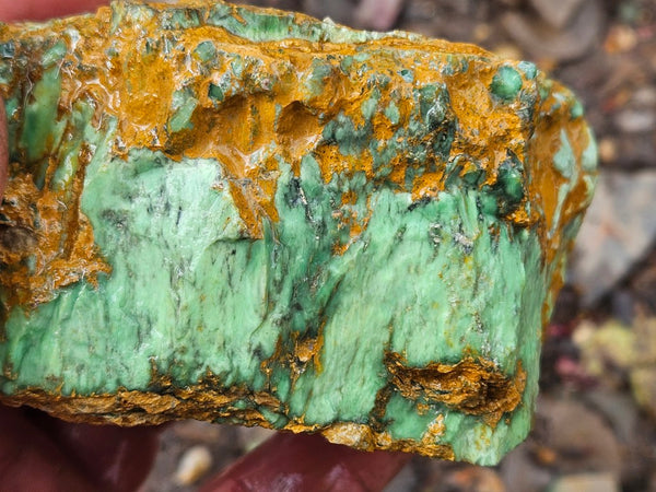 Variscite rough. VR598