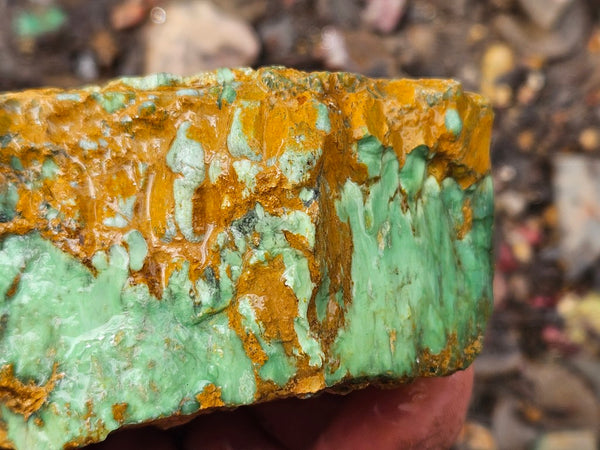 Variscite rough. VR598