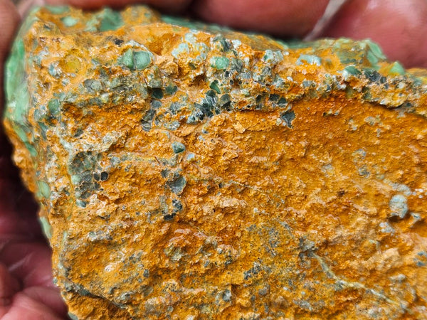 Variscite rough. VR598