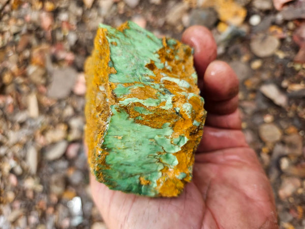 Variscite rough. VR598