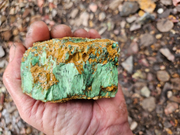 Variscite rough. VR598