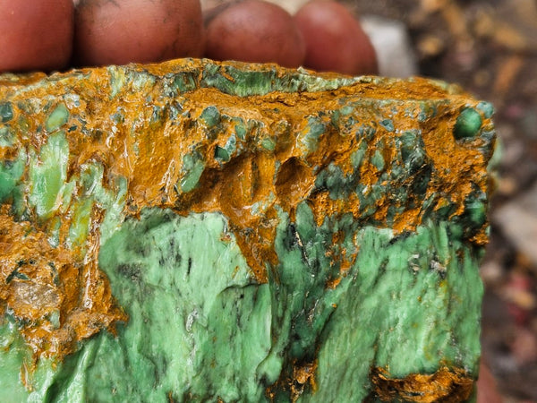 Variscite rough. VR598