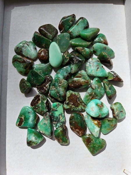 Tumble Polished Chrysoprase CHT166