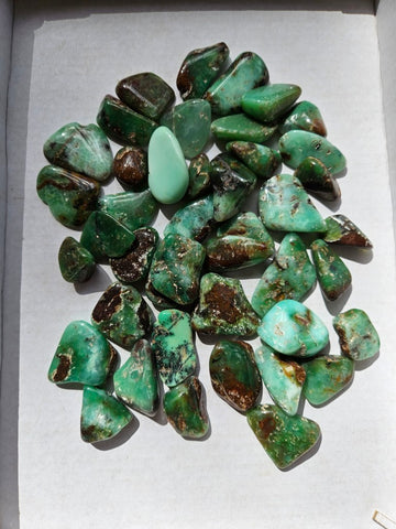 Tumble Polished Chrysoprase CHT166