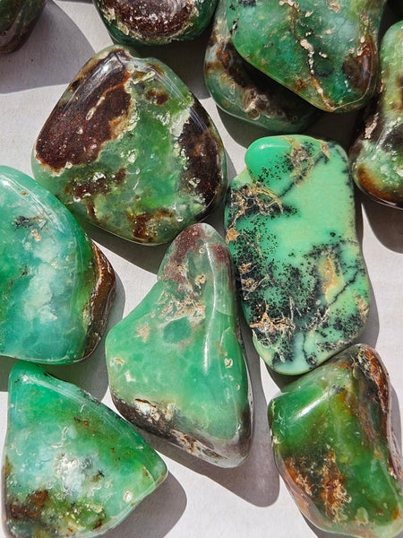 Tumble Polished Chrysoprase CHT166