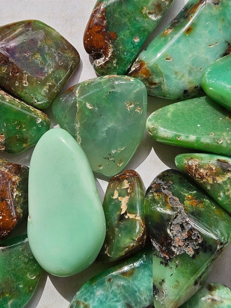 Tumble Polished Chrysoprase CHT166
