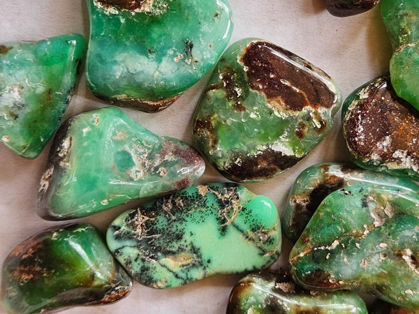 Tumble Polished Chrysoprase CHT166