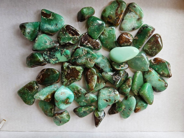 Tumble Polished Chrysoprase CHT166