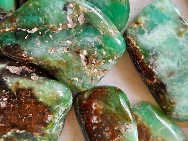 Tumble Polished Chrysoprase CHT166