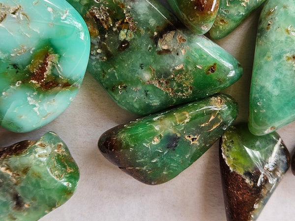 Tumble Polished Chrysoprase CHT166